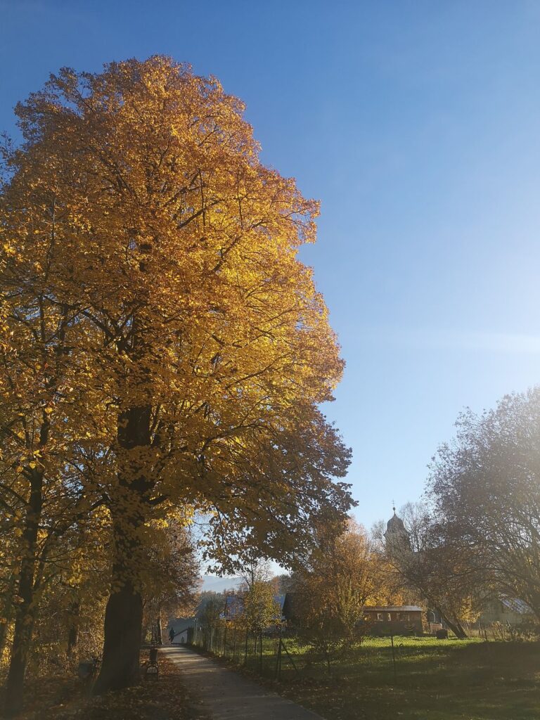 Tip na výlet 4 Cestou vcelarskym chodnikom spozorujete aj vcelin pri kostole 1K JPEG