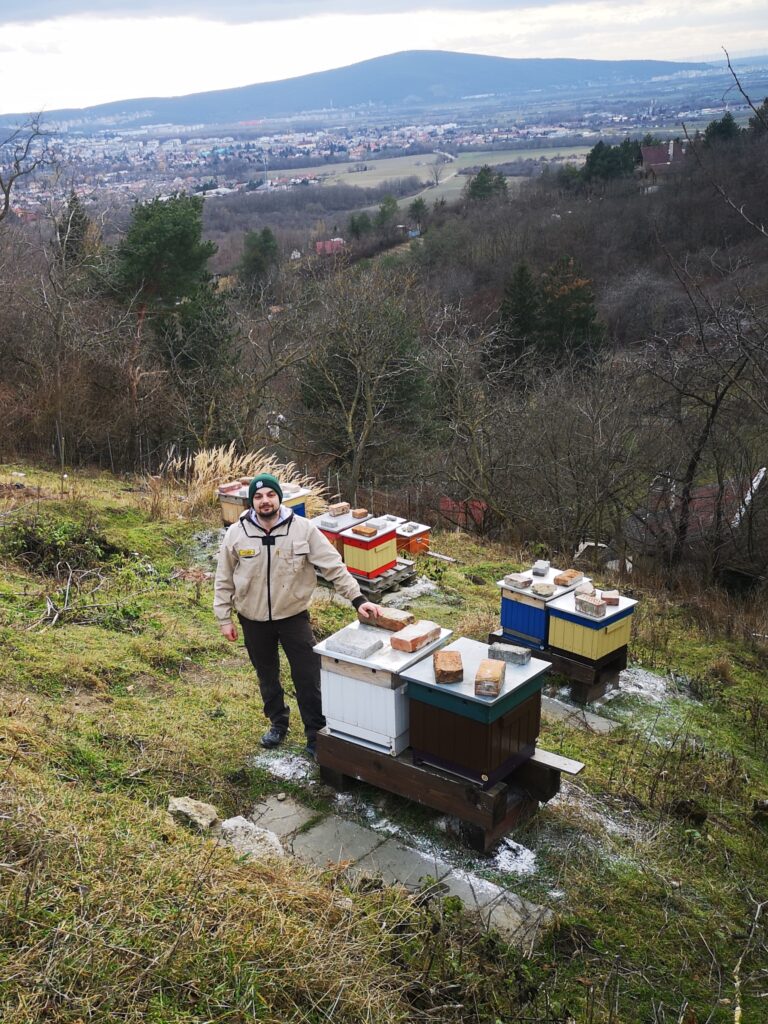 Kalendárium Január Na jednej z vcelnic ktore som vybudoval vsimnite si vyvapnene okolie ulov